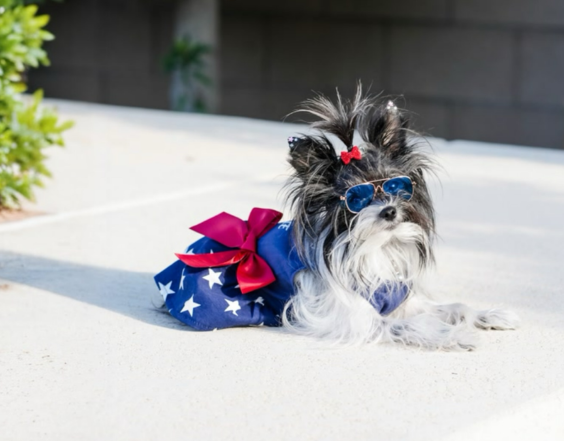 More Than Clothing: Rella (Cruella) as a Lifestyle Brand