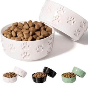 Ceramic Dog Bowl Set of 2 with Anti-Skid Base - 5" Wide x 2" Tall Ceramic Dog Bowls for Small Dogs - 2 Cup Capacity Food and Water Bowls for Dogs - Rubber Bottom Pet Bowl Set of 2 for Small Pets