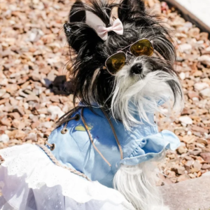 Apparel & Accessories